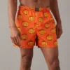 AEO Pumpkin Stretch Boxer Short