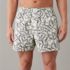 AEO Dollars Stretch Boxer Short