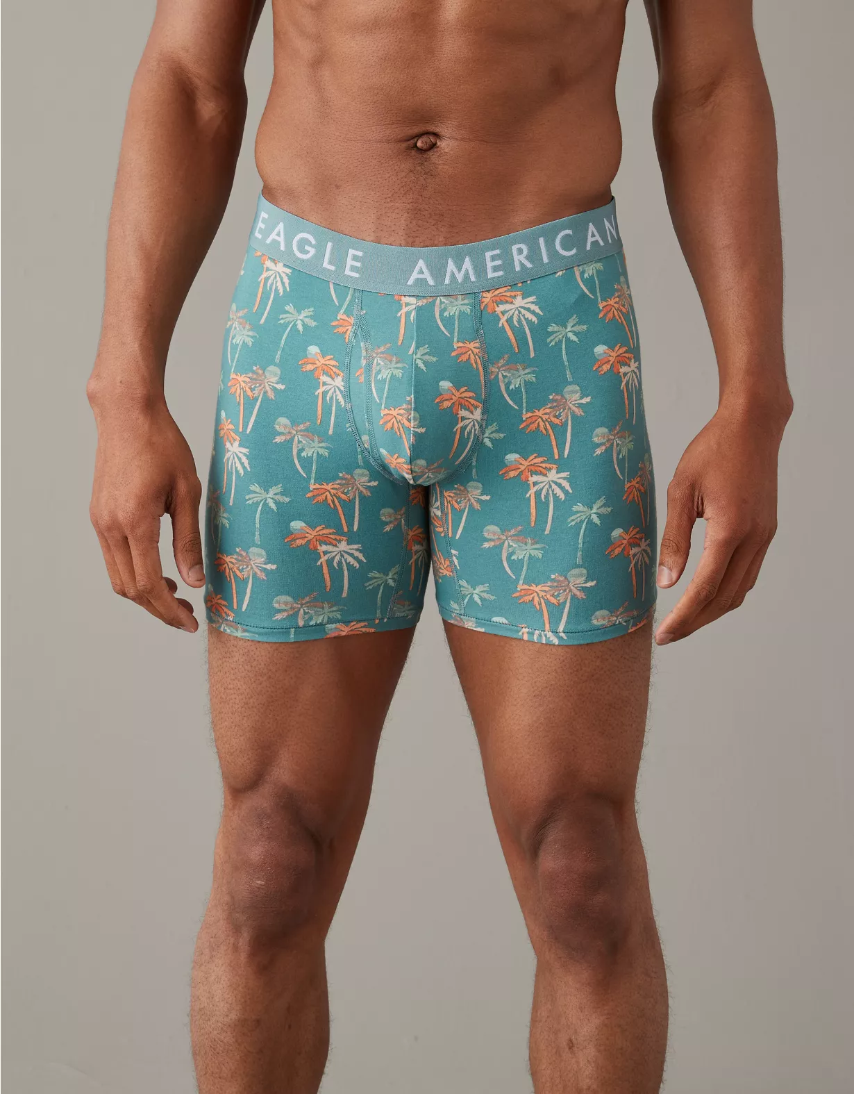 AEO Palms 6" Classic Boxer Brief 1 AEO Palms 6" Classic Boxer Brief