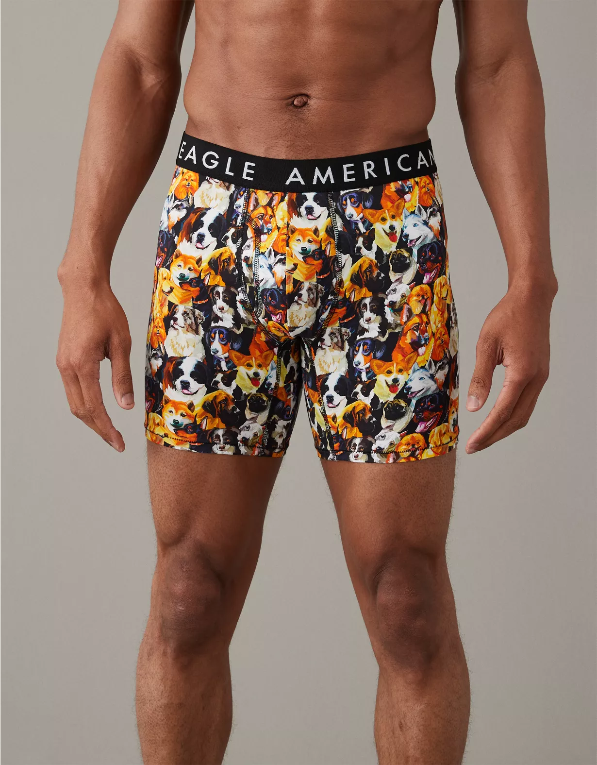 AEO Dogs 6" Classic Boxer Brief 1 AEO Dogs 6" Classic Boxer Brief