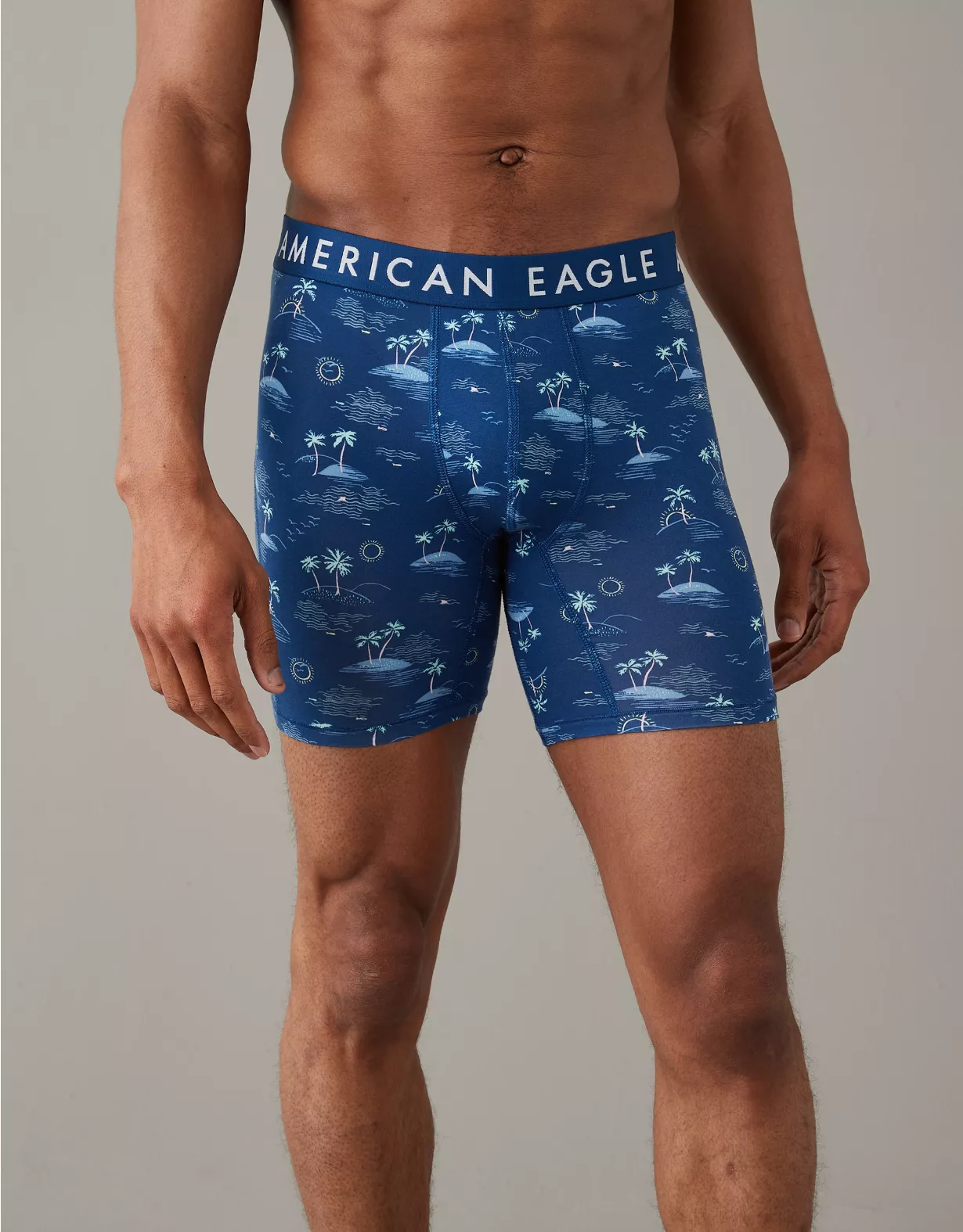 AEO Islands 6" Ultra Soft Boxer Brief 1 AEO Islands 6" Ultra Soft Boxer Brief
